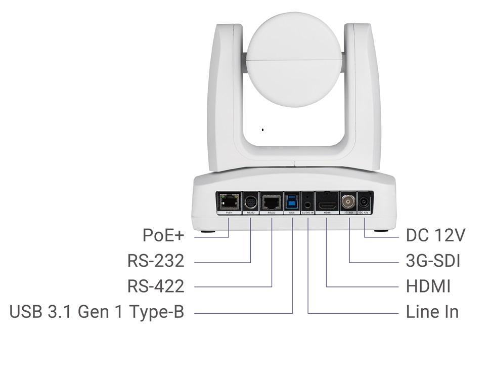 ptz231