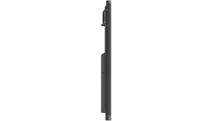 nez409.png