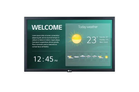 Monitor LG 22SM3G