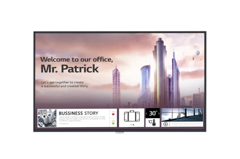 Monitor LG 49UH5J-H