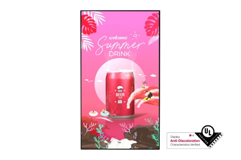 Monitor LG 55XS4P window facing